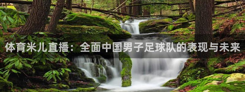 体育米儿直播：全面中国男子足球队的表现与未来
